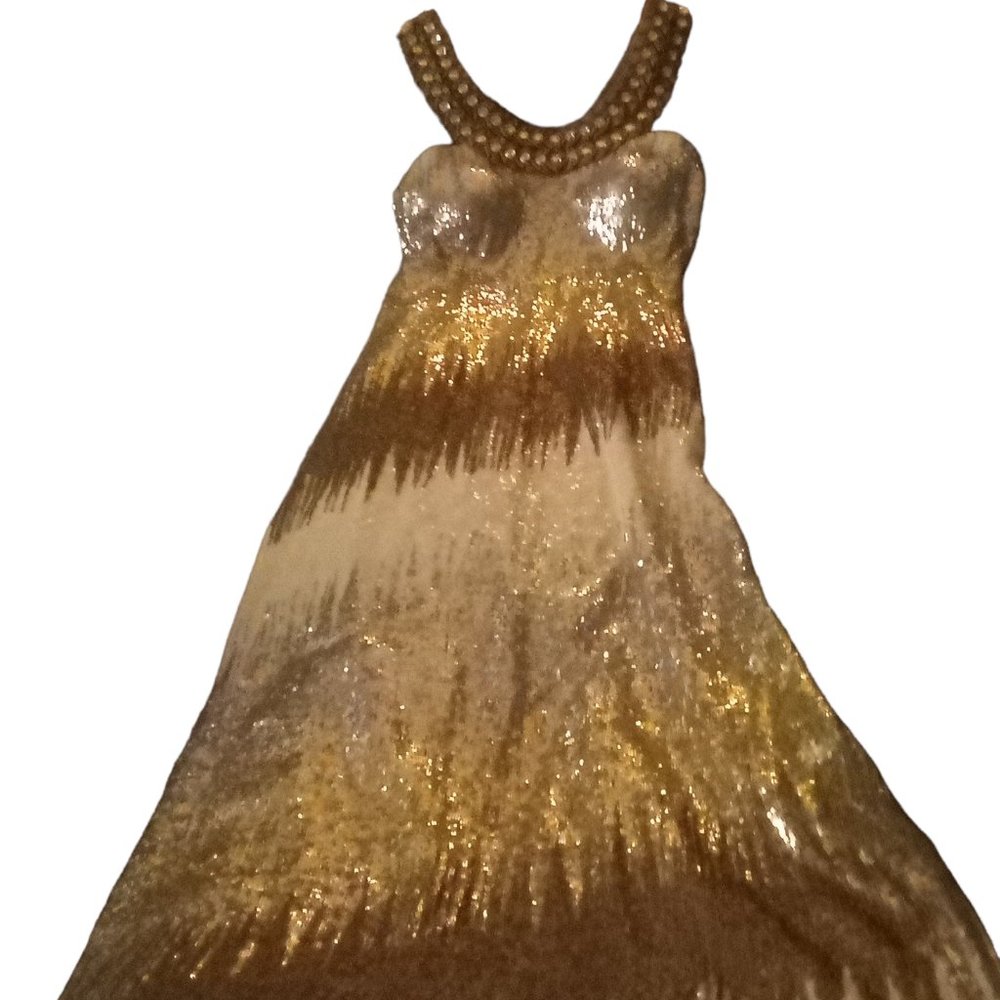 Jarman Fashion Sequin Formal Maxi Dress